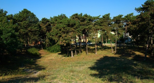 hírkép